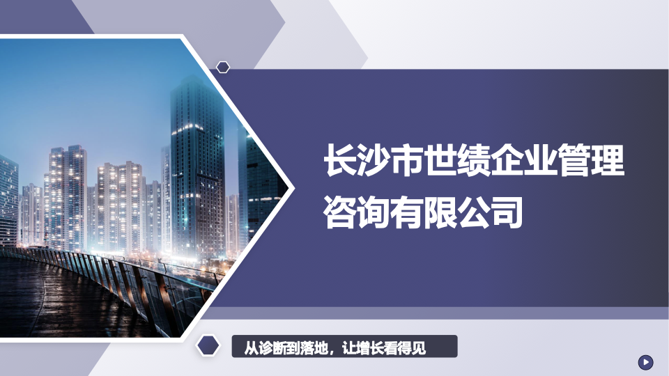 长沙市世绩企业管理咨询有限公司介绍资料封面